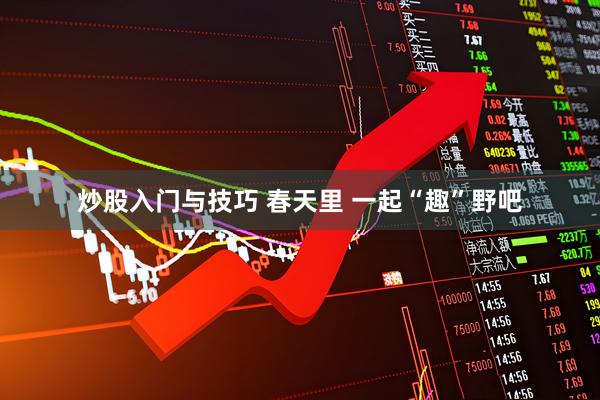 炒股入门与技巧 春天里 一起“趣”野吧