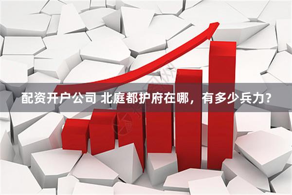 配资开户公司 北庭都护府在哪，有多少兵力？